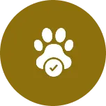 Pet friendly